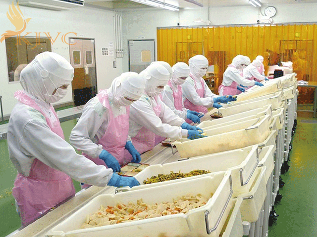 tuyển dụng nữ xuất khẩu lao động ngành thực phẩm